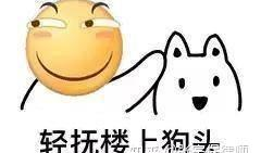 娱乐圈吃瓜鹅视频