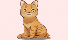 猫漫画,猫漫画里的欢乐时光